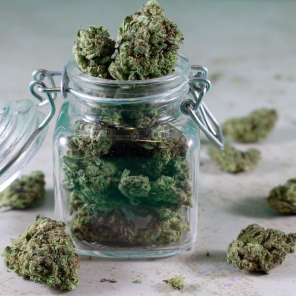 cannabis flower in jar