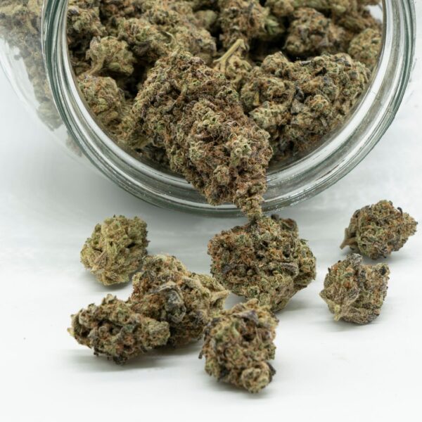 bud spilling out from jar