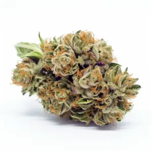 Apple Fritter