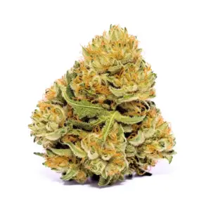 Chemdawg Cannabis Strain