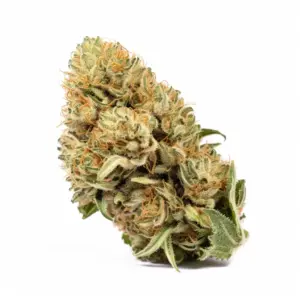 Gorilla Glue 4