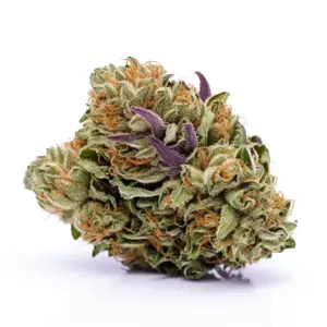Grape Ape Strain