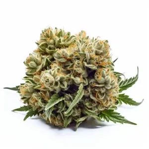 Ice Cream Cake Cannabis Strain in Washington DC