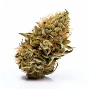 Panama Red Strain
