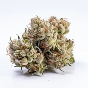 Blanco Cannabis Strain Review