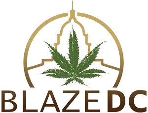 Blaze DC Logo