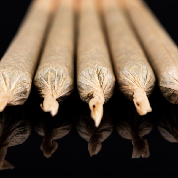 Blaze Special Pre Rolls (Pack of 5)