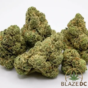 Jet Fuel Gelato Cannabis Strain