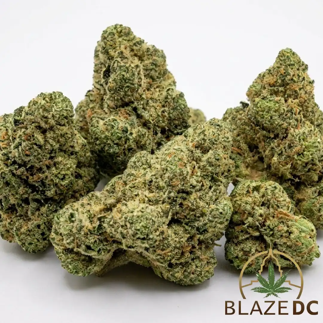 Jet Fuel Gelato Cannabis Strain