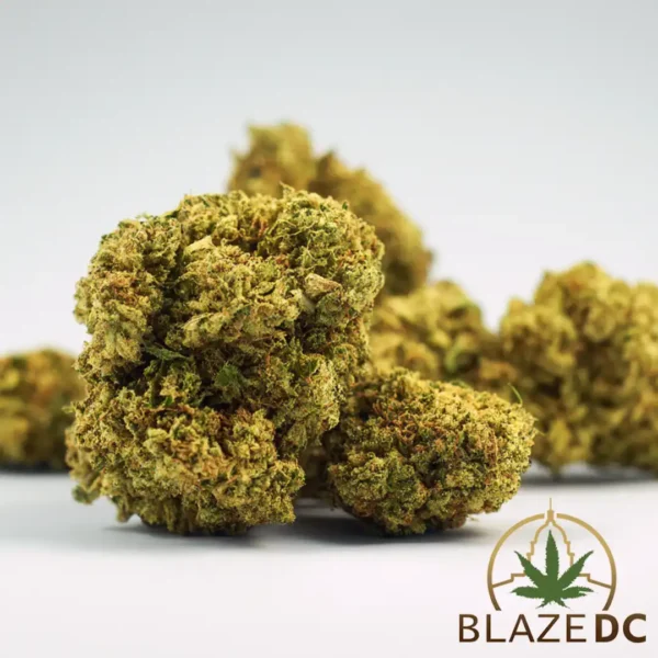 OG Kush Hybrid Cannabis Strain in Washington DC