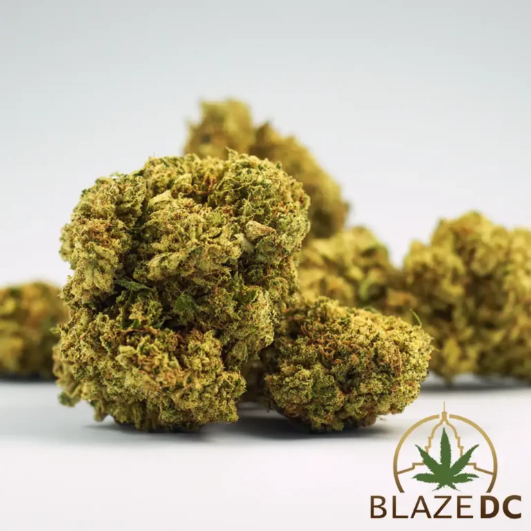 OG Kush Hybrid Cannabis Strain in Washington DC