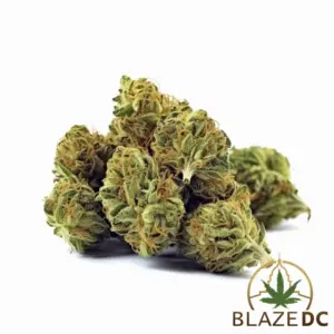 Cereal Milk Hybrid Flower