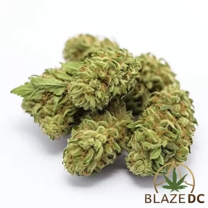Gelato Runtz Sativa Hybrid Flower Blaze