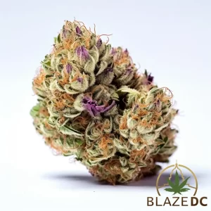 Rainbow Sherbet Hybrid Blaze
