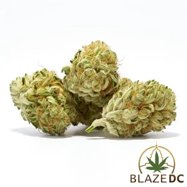 Red Congolese Sativa Flower