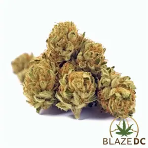Voodoo Flower