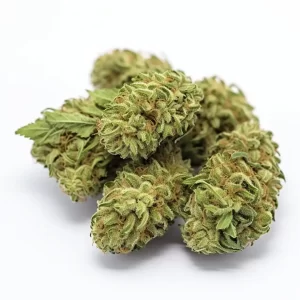 Gelato Runtz Strain Review Blaze