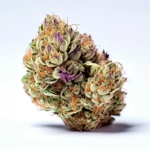 Rainbow Sherbet Strain Review