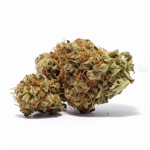 Red Congolese Cannabis Strain Review