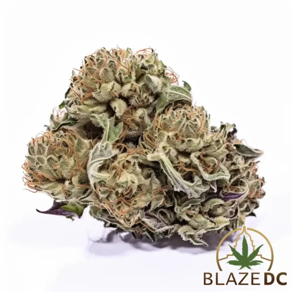 Candyland Strain