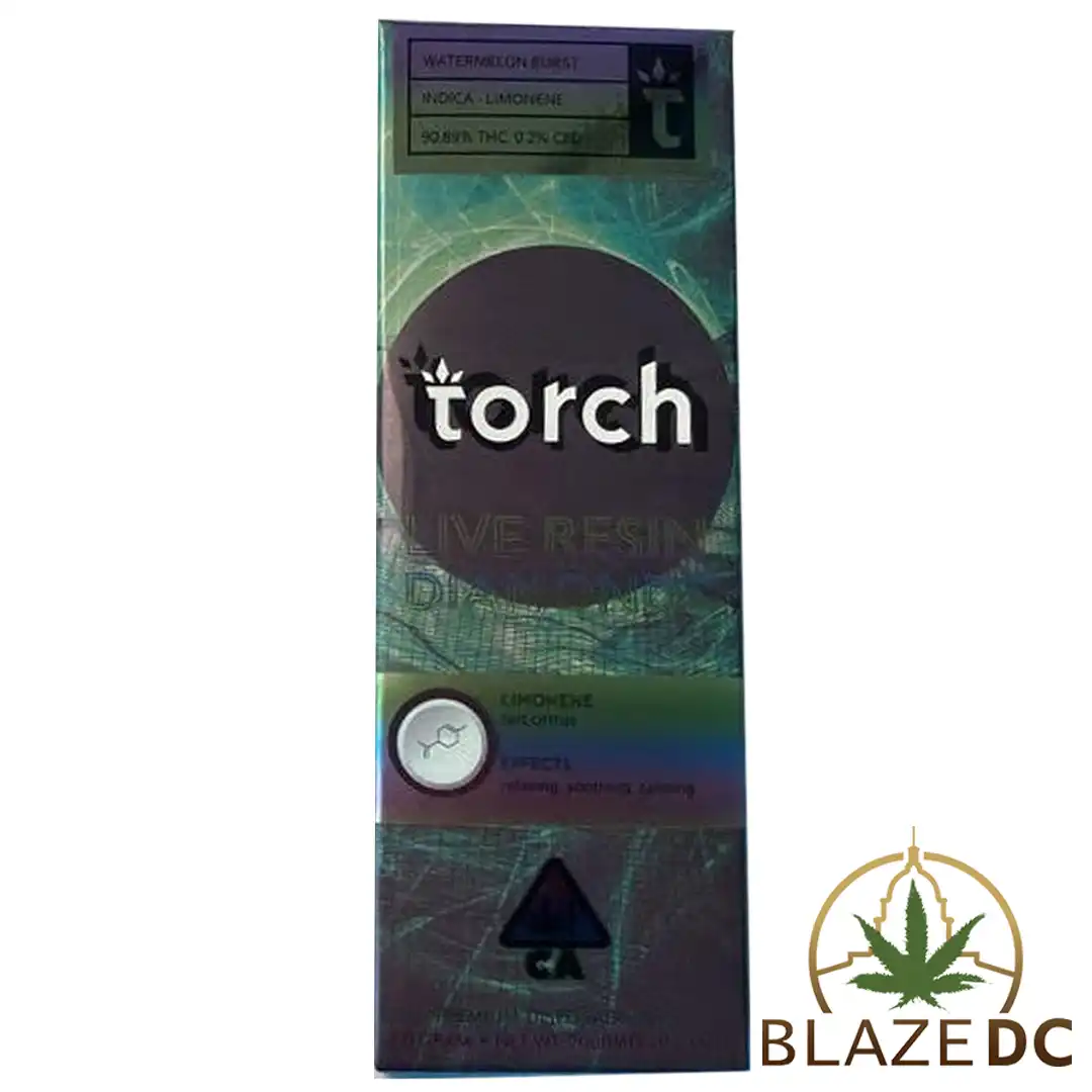 Torch Watermelon Burst | 1G Disposable Pen - Blaze DC