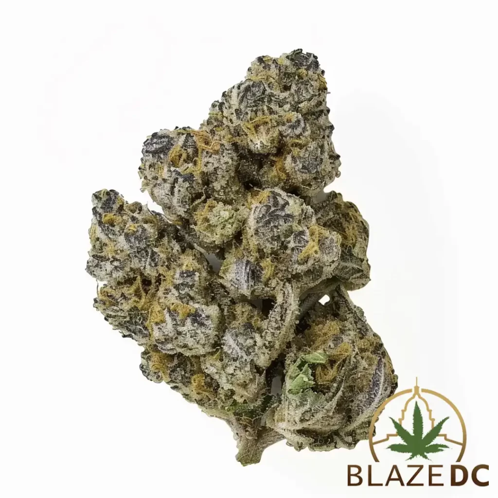 Blue Cookies Cannabis Strain