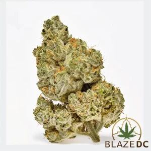 Dirty Girl cannabis strain Washington dc