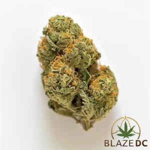 GMO Cookies Strain in Washington DC