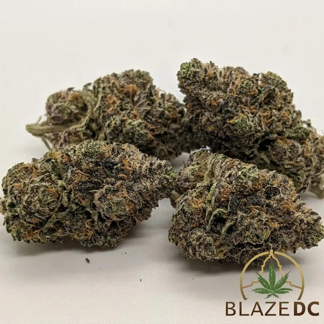 Jealousy Cannabis Strain Washington DC
