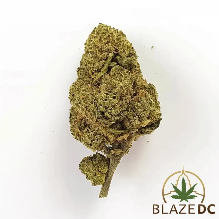 Kosher Kush Strain in Washington DC
