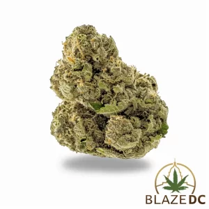 Member Berry Cannabis strain washington dc