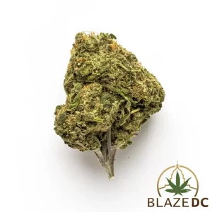 Monkey Thunder Cannabis strain in Washington DC