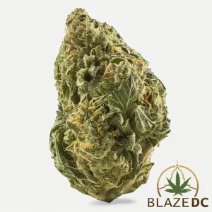 Super Lemon Haze cannabis strain washington dc