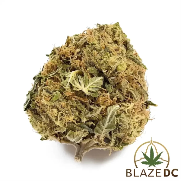 Frozen Margaritas Sativa Flower