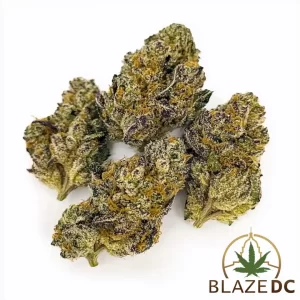 Gush Mintz Washington DC