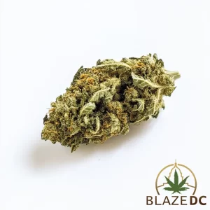 Fuji Cannabis Strain Washington DC