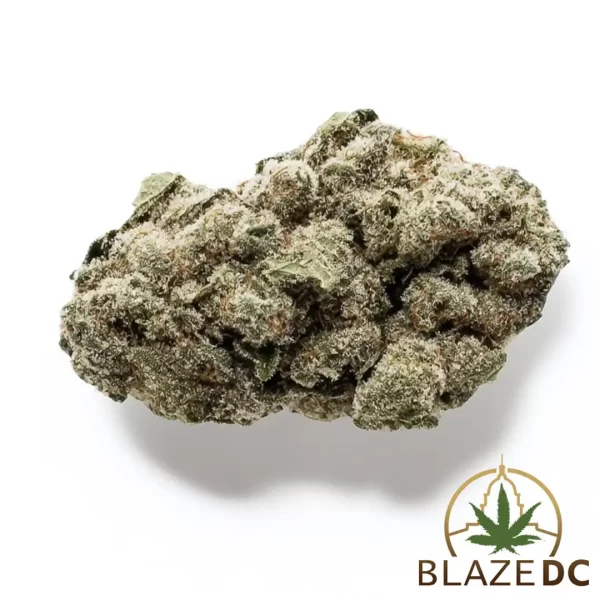 G47 Indica-Dominant Hybrid Flower