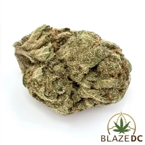 Animal Face Exotic Indica Flower in Washington DC Blaze