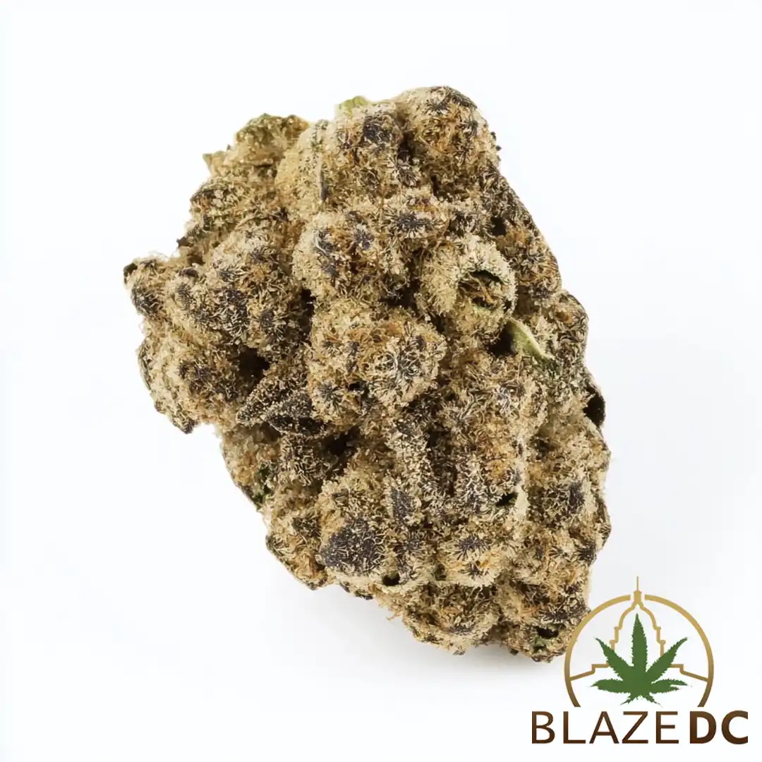 Black Cherry OG Indica Flower in Washington DC Blaze