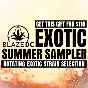 Exotic Summer Sampler