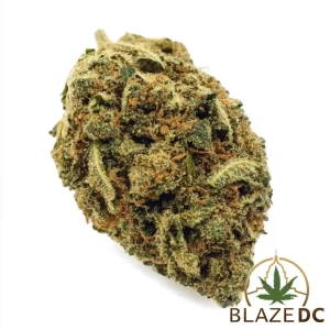 Pink Runtz Exotic Hybrid Cannabis Strain