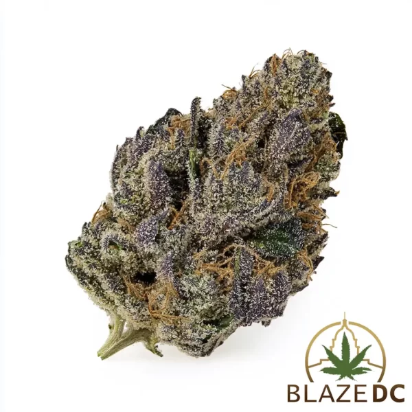 Super Boof Hybrid Flower