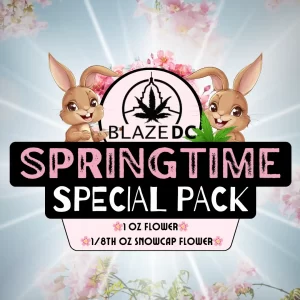Springtime Special Pack