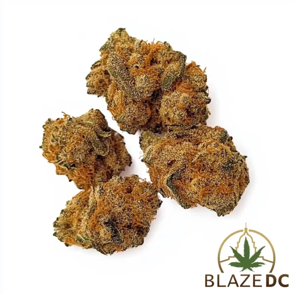 Chocolope Sativa Flower