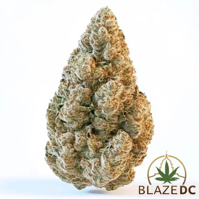 Tarts Hybrid Flower