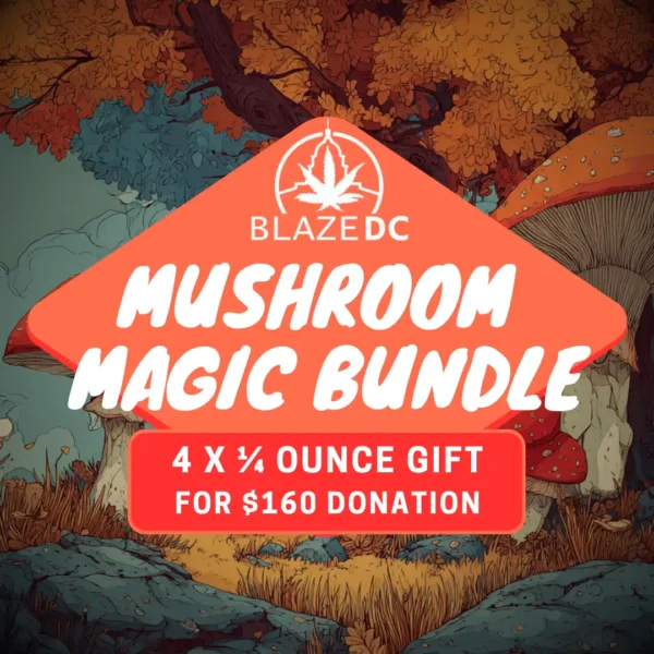 Best Fall DC Shrooms Deal