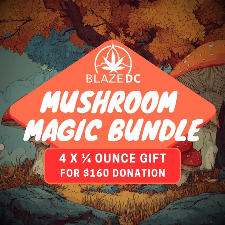 Best Fall DC Shrooms Deal