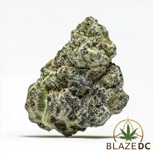 Obama Runtz Hybrid Flower Blaze