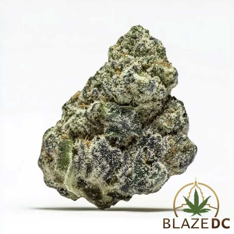 Obama Runtz Hybrid Flower Blaze