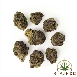 Purple Passion Indica-Hybrid Flower